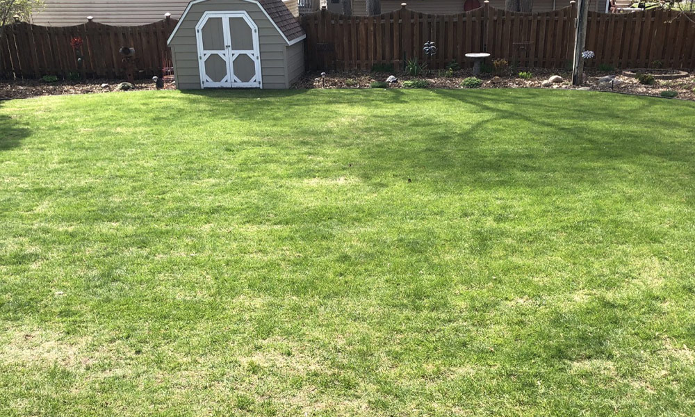 Grass Before Standard Plan + C-20